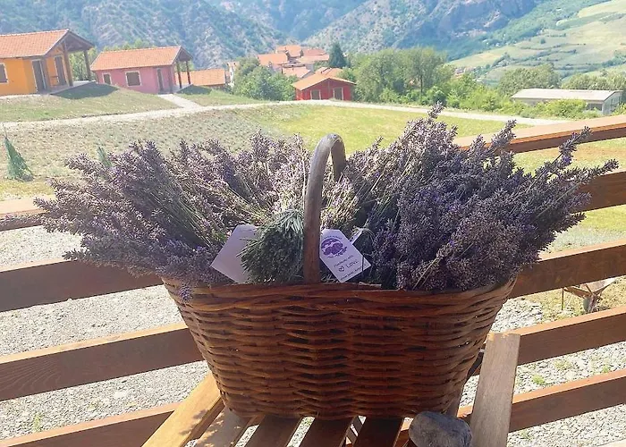 Azienda Agricola Saint Hubert Agroturismo